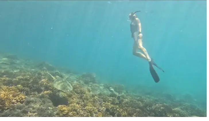 A snorkeler glides above a turtle in the shallow, sunlit water