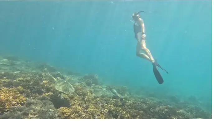 Snorkeling for beginners