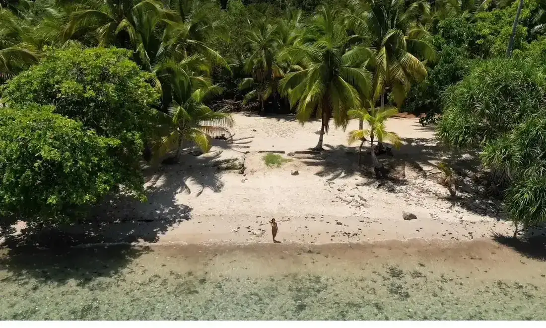Sea turtle on a coral reef in Coiba Island, Panama