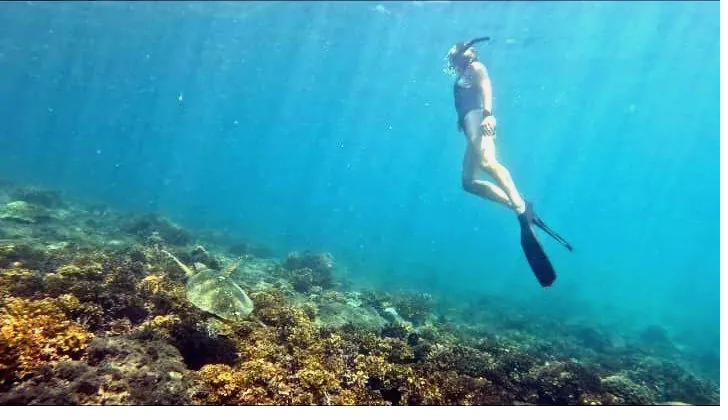 Freediver over Coiba's reef