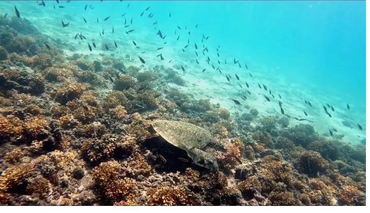 Best time to visit Coiba