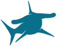 Hammerhead shark