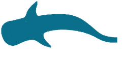 Whale shark