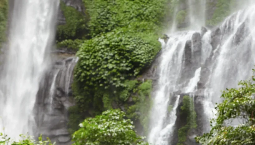 Tropical moist forest in Pacific Panama, the same forest type that covers Coiba and Jicarón islands